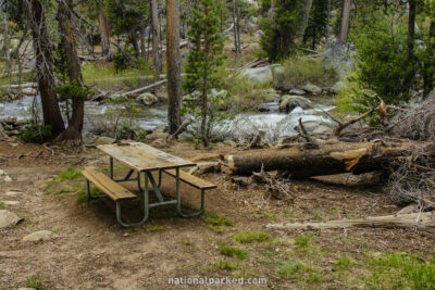 Yosemite Creek Picnic Area in Yosemite National Park in California