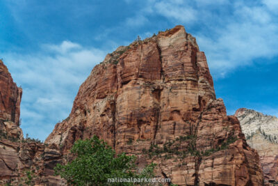 Angel's Landing in Zion National Park in Utah