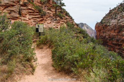 Angel's Landing in Zion National Park in Utah