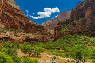 Big Bend in Zion National Park in Utah