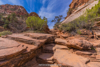 Canyon Overlook Trail in Zion National Park in Utah