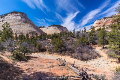 Checkerboard Mesa in Zion National Park in Utah