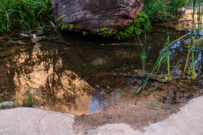 Emerald Pools Trail in Zion National Park in Utah