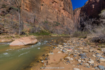 Riverside Walk in Zion National Park in Utah