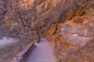 Riverside Walk in Zion National Park in Utah