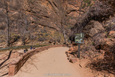 Riverside Walk in Zion National Park in Utah