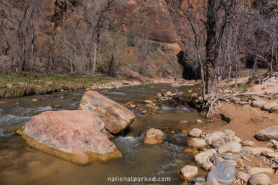 Riverside Walk in Zion National Park in Utah