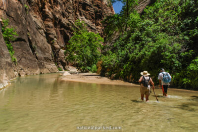 The Narrows in Zion National Park in Utah