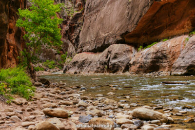 The Narrows in Zion National Park in Utah