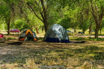 Watchman Campground in Zion National Park in Utah