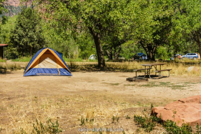 Watchman Campground in Zion National Park in Utah