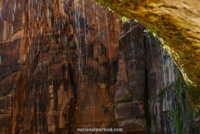 Weeping Rock in Zion National Park in Utah