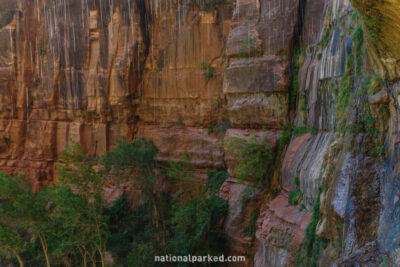 Weeping Rock in Zion National Park in Utah